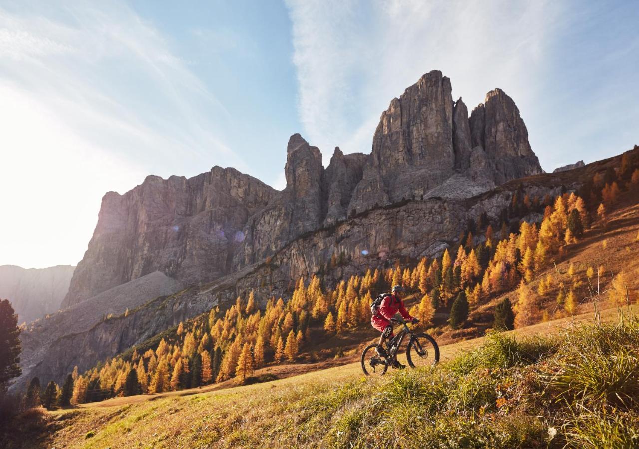 Chalet Elisabeth Dolomites Alpin & Charme Hotel Selva di Val Gardena Luaran gambar