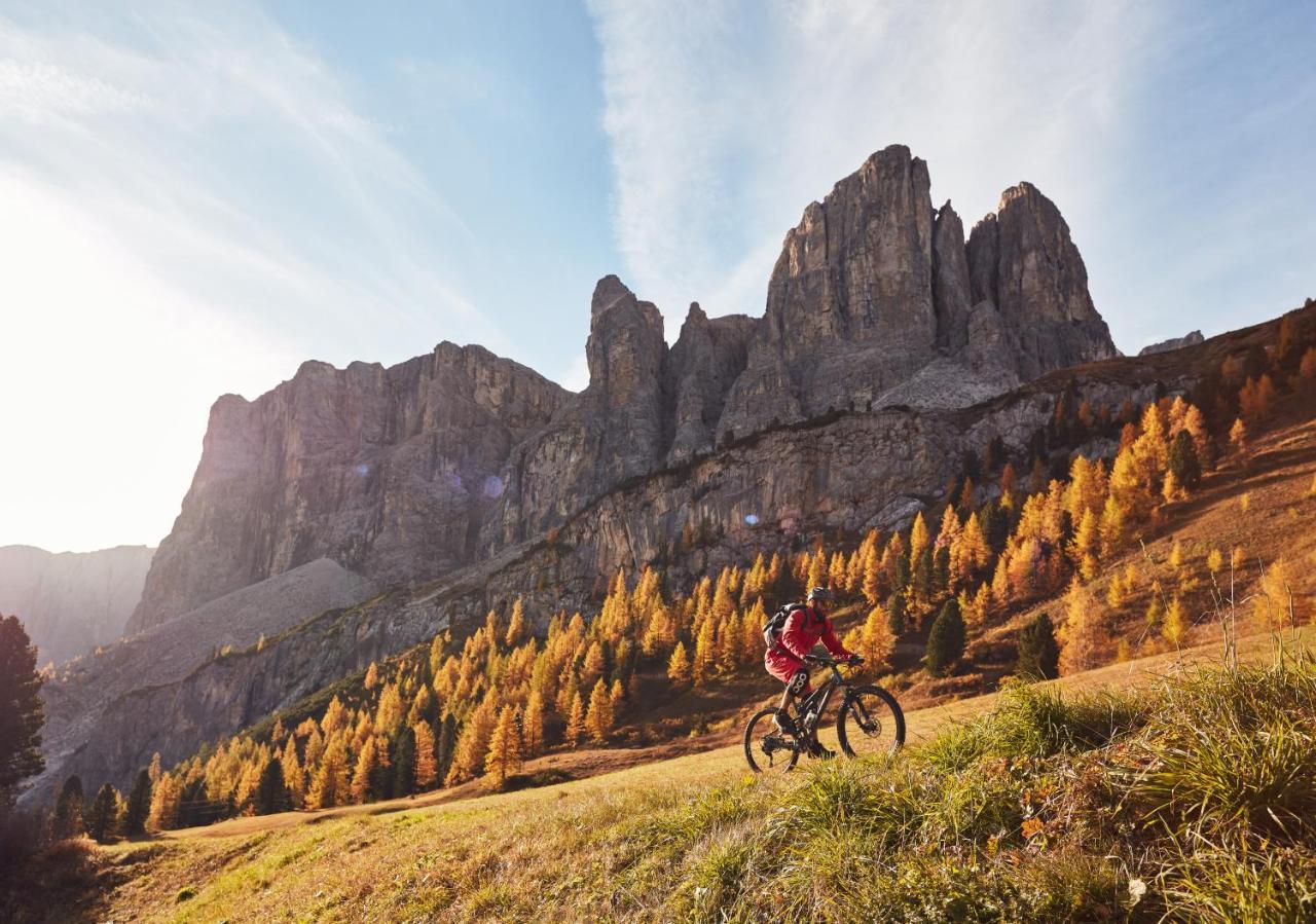Chalet Elisabeth Dolomites Alpin & Charme Selva di Val Gardena Luaran gambar