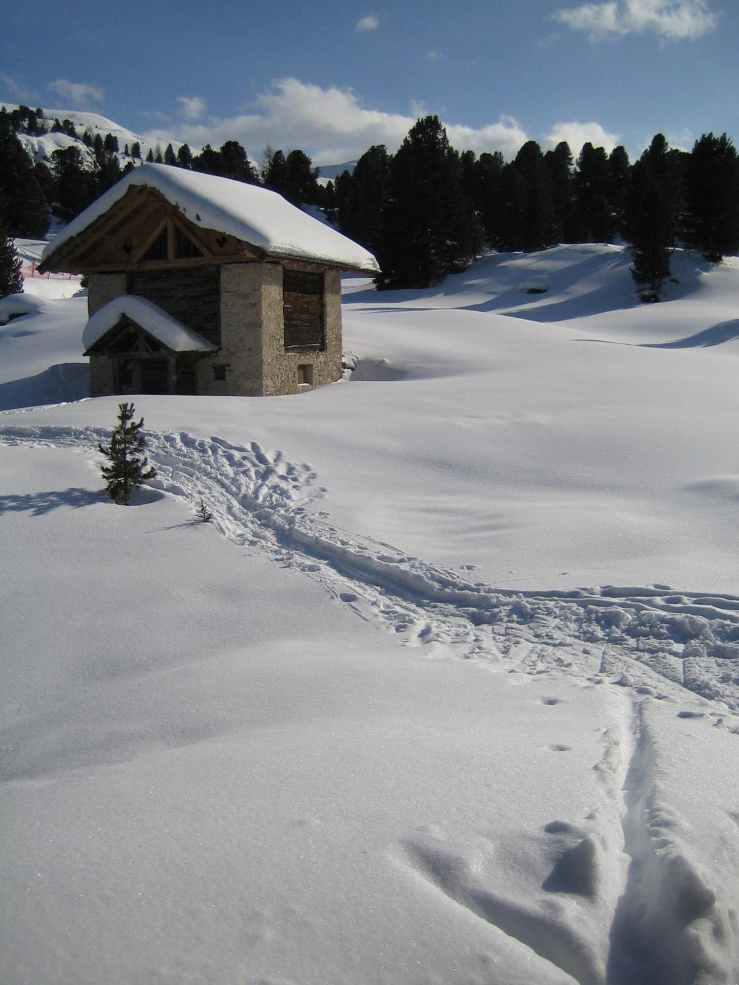 Chalet Elisabeth Dolomites Alpin & Charme Selva di Val Gardena Luaran gambar