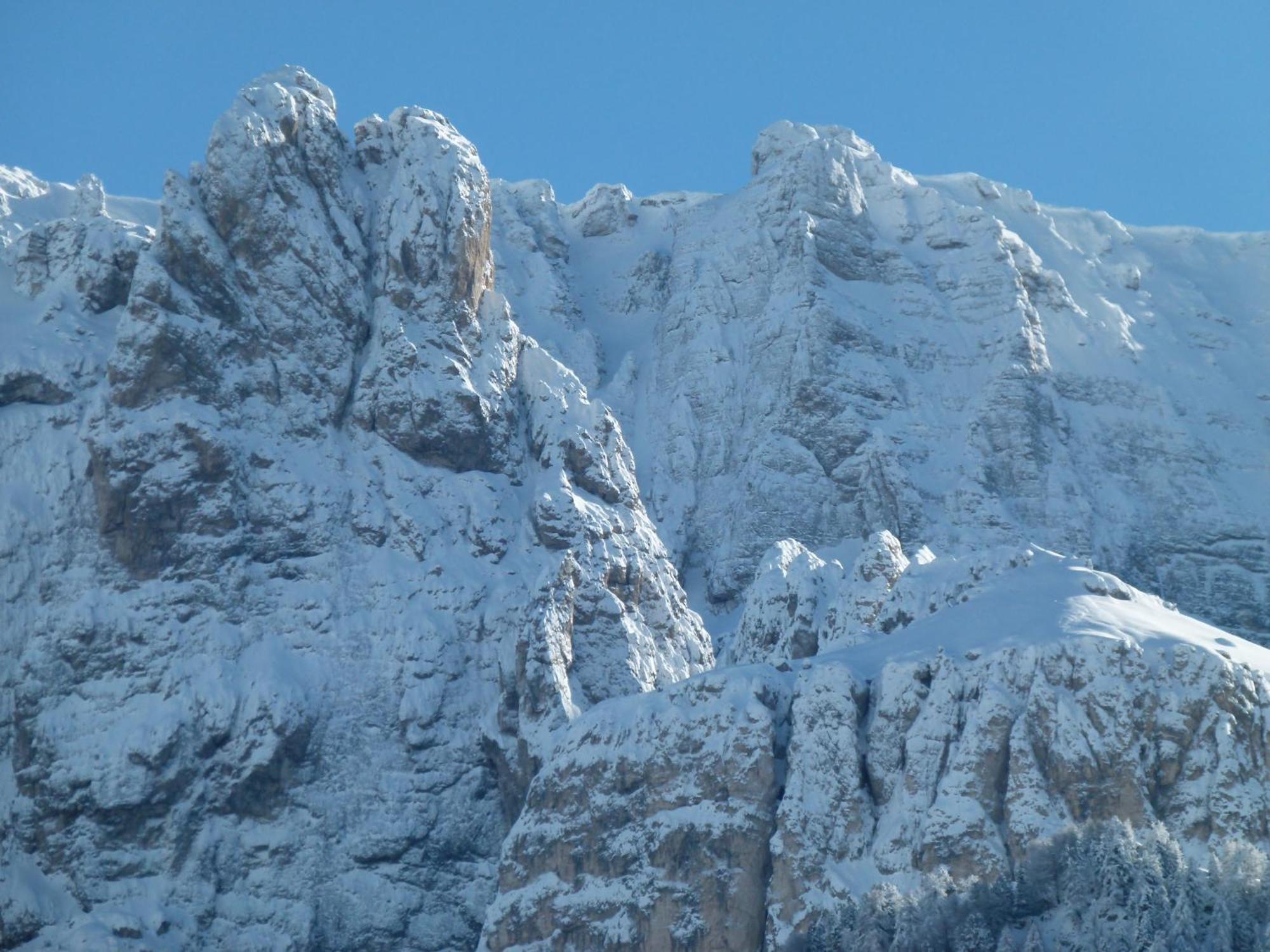 Chalet Elisabeth Dolomites Alpin & Charme Hotel Selva di Val Gardena Luaran gambar