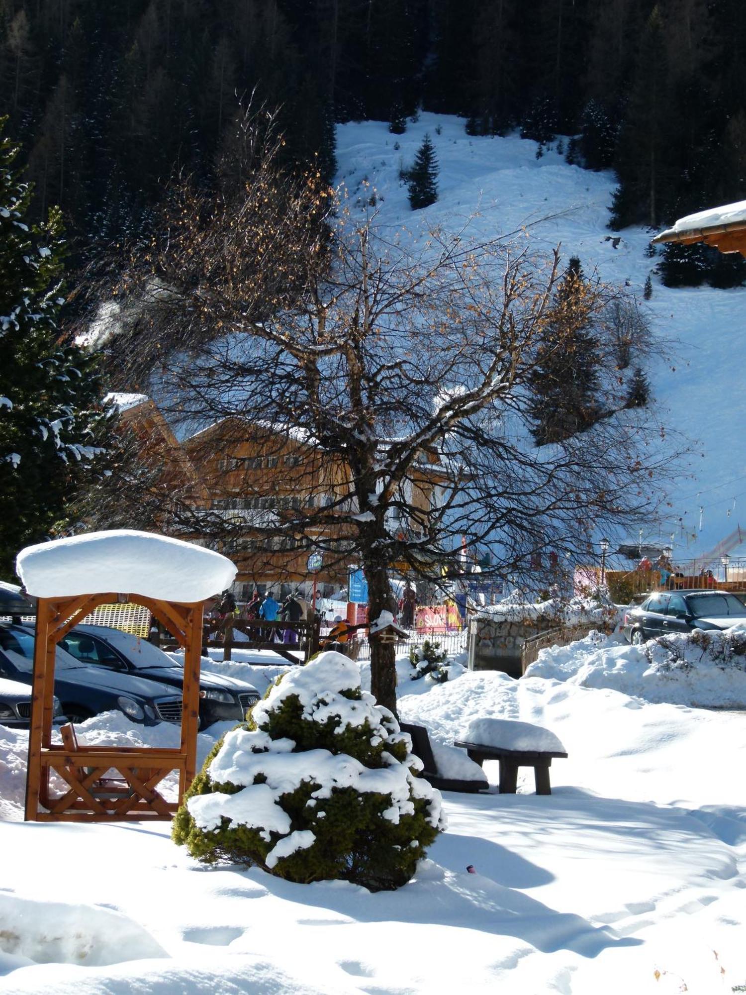 Chalet Elisabeth Dolomites Alpin & Charme Selva di Val Gardena Luaran gambar