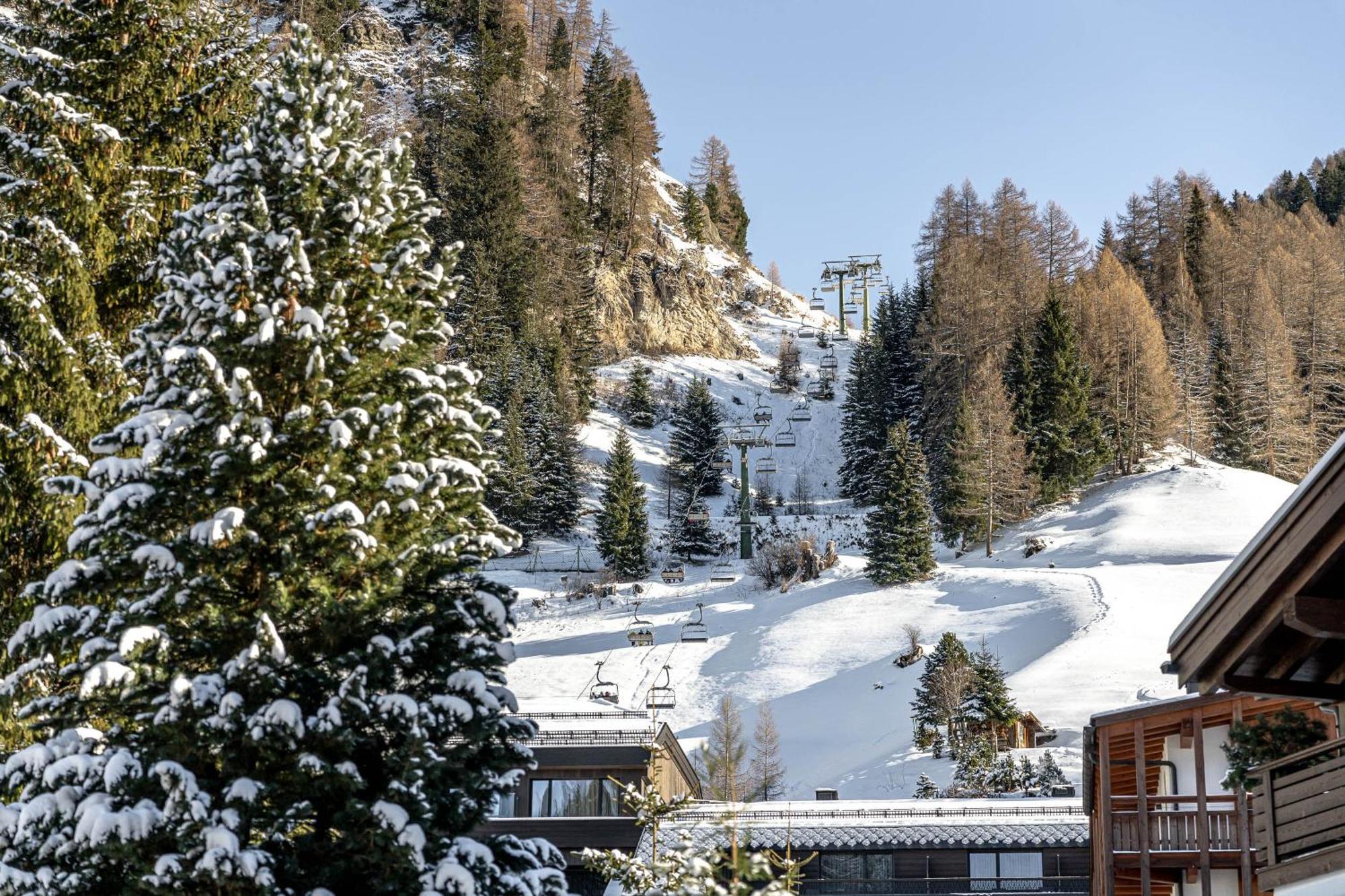 Chalet Elisabeth Dolomites Alpin & Charme Selva di Val Gardena Luaran gambar